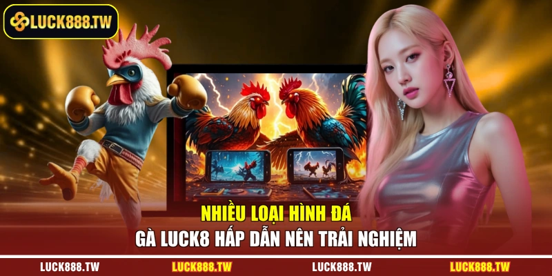 Nhiều loại hình đá gà Luck8 hấp dẫn nên trải nghiệm 